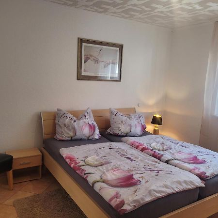 Ferienwohnung Jasmin In Schoenau Bei Heidelberg Fewo 2 Schonau  Zewnętrze zdjęcie